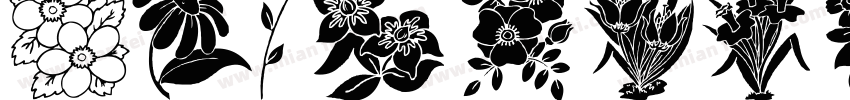 Graphicus DT Demi字体转换